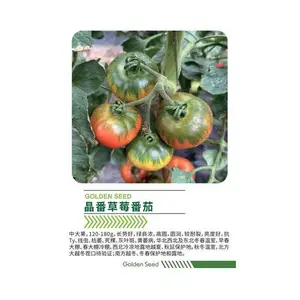 晶番草莓番茄，绿肩浓，高圆，圆润，亮度好
