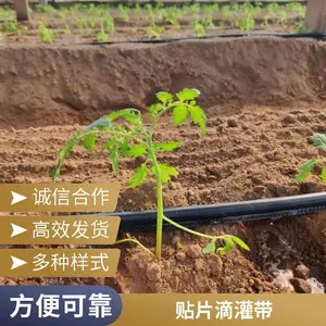 薄壁式滴灌带 备货充足 性能稳定 节水灌溉设备