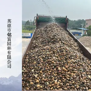 景观造景鹅卵石 色泽自然*** 庭院水池铺地原石现货