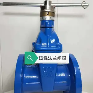 磁性加密软密封闸阀