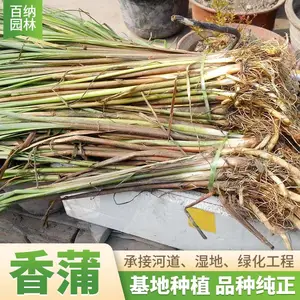 ��Ӧ���� �������� ���ѻ���ֱ�� ������������Ǯһ��