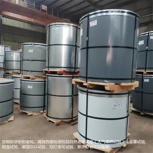 ������������ˮ̲������ͨ��PE����Ϳ�弫����ɫ275�˻���