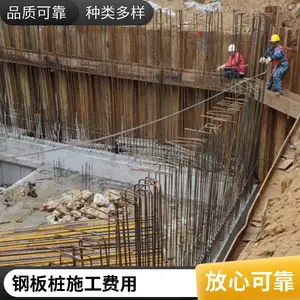 9����ɭ�ְ�׮֧��ʩ�� 19�꾭�� ������ ��������