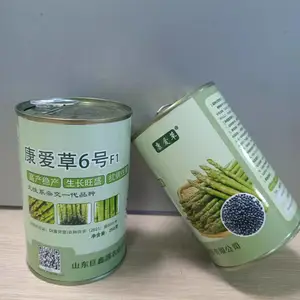 康爱草6号杂交一代优质高产芦笋种子巨鑫源厂家批发