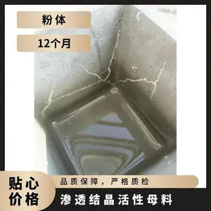 龙晨防水涂料聚合物砂浆粘结剂替代材料防水层表面可随意涂刷其