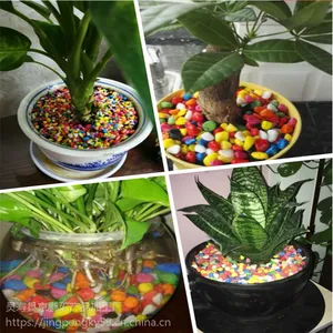 ˮ��ֲ�����װ��Сʯ������ͭǮ��װ���ö��ʯ��