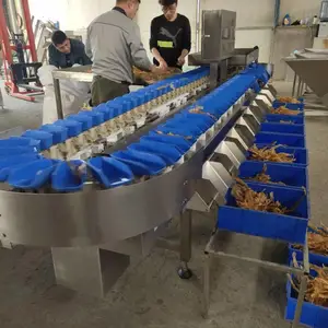 厂家源头包装在线检重机苹果等级分选机榴莲重量分拣机 加工定制