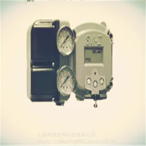 41005ֱͨ�ͺͽ������׵����ֻ� ����÷������Masoneilan