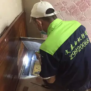 西樵白蚁***-专业白蚁治理