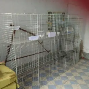 养殖场多层鸽笼 三层四层鸽笼厂家出售