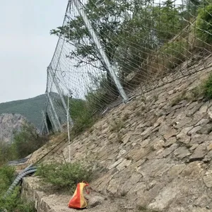 rxi-200被动防护网 诚信企业