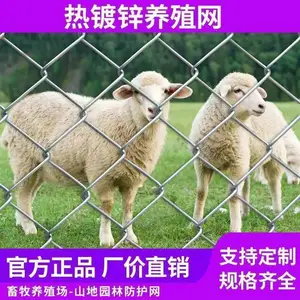 1.5米高5厘米孔2.0粗镀锌铁丝网勾花网果园围栏网养殖圈地防护网