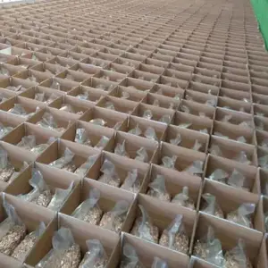 ���ڼ���׺���������ԭ�� �����決���±����ϡ������ʳ