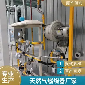 岱鼎燃烧 涂装烘干房 烤漆烘房燃烧系统 天然气燃烧器烧嘴源头厂家