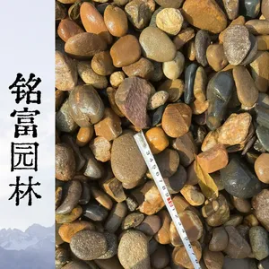天然3-5cm河卵石 水处理垫层石料，深 圳学校3-5广 东卵石