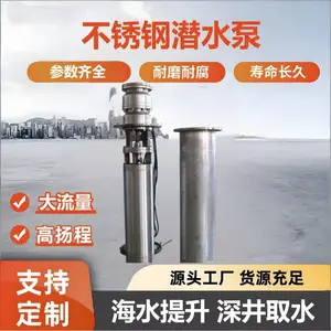 304不锈钢卧式潜水泵 大流量高扬程 水厂取水 耐腐蚀 带变频控制柜
