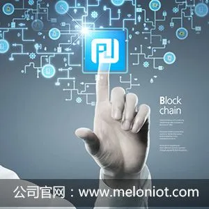 青岛美仑电子有限责任公司