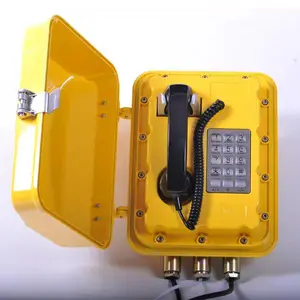 管廊、石油、化工专用IP防爆扩音电话机JWBT821