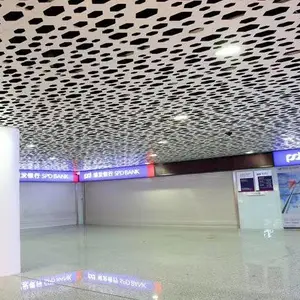 �Ϸ��������������� ����ѧԺ������ ��Բ��������
