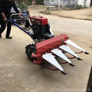 С����1.2�׿����ɸ�ɹ�� ������ѻ� һ�ߵ�ũ�ø�ݻ�