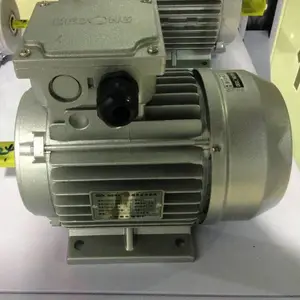 �¶������Ӧ����С����YS8024�����첽�綯��0.75W