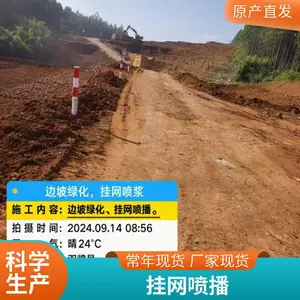 客土喷播施工队 山体边坡绿化 液压喷草种挂网植草灌护坡 三维网植草