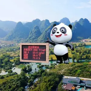瀑布溶洞生态负氧离子监测站点 高负离子景区景观专项监测设备