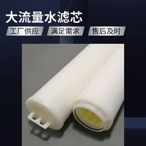 泓净 40寸 10μm 中药提取液大流量滤芯