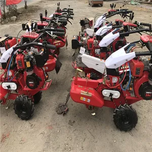 �����������ٻ� �����ַ������� �������������