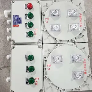 BXK51�������������� ˫���Žṹ
