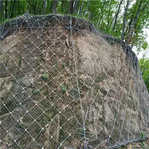 引起高速公路高边坡护坡的原因