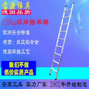 宝源 120公斤级单梯焊接直梯登高施工爬梯移动仓储物流取货梯