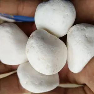 厂家供应 白色鹅卵石 别墅庭院铺路艺术造景用白鹅卵石子 盆栽铺面用白石子 水洗石