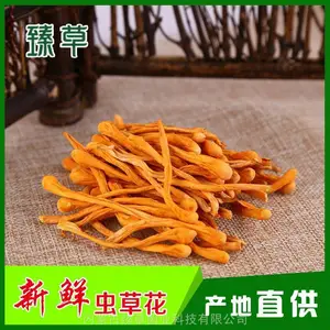 虫草花源头厂家批发零售干净挑选无硫颜色新鲜