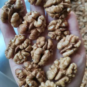 供应出口级生核桃仁 原味185纸皮核桃仁 尖白头路核桃仁