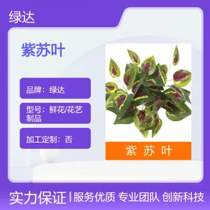塑料假花草仿真花艺制品黄绿萝/紫苏叶室内阳台客厅壁挂背景花墙