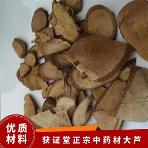 ��֤��������ҩ�Ĵ�« ����ҩ���廨Ѫ�� ԭ����Բ����������
