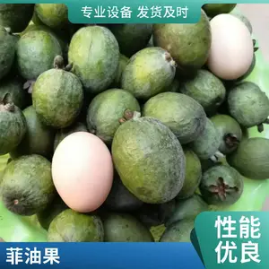 ���س��۷��͹��� ������ ͥԺ������ֲ������԰���̻��쾰������