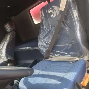 ���ҽ�ʨ���賵