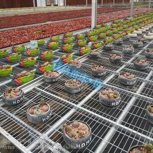 苗床网片移动育苗床汉明生产商质优价廉