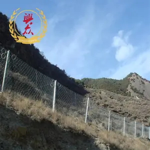 ���������ͺŻ��α�����RXI025�͹��걻�����·�����