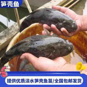 �ʻ�������� ��ˮ��ֳ�����ư߼��������緢�������ٲ���