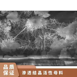 龙晨建筑材料涂层牢固不脱粉有效成分深入渗透水泥基渗透结晶母