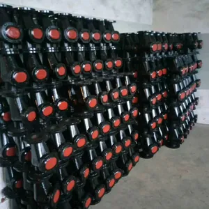 常州市铸铁铜芯止回阀 H44T-10/16 DN100 规格db