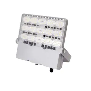 LED�����100WLED����Ƶ�LED�㳡��100WLED����������100WLEDͶ���100W