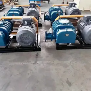 RRC-80RRC-100小型罗茨风机更换轴承检修中