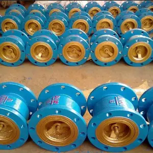 ��ؿ�HH49X-10Q��ʽ˫������ֹ�ط�