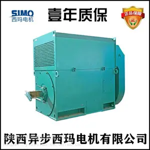 西安泰富西玛电机样本Y4001-4/220KW/10KV高压电机引接线壹年