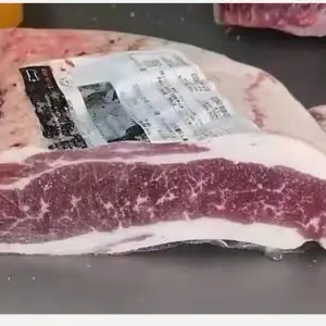 阿根廷1920 冷冻去骨牛肉 前胸肉 快餐店肥牛肉原材雪花牛肉批发供应