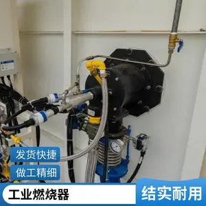 供应 天然气燃烧器 低氮燃烧器 型号全 支持定制 放心下单
